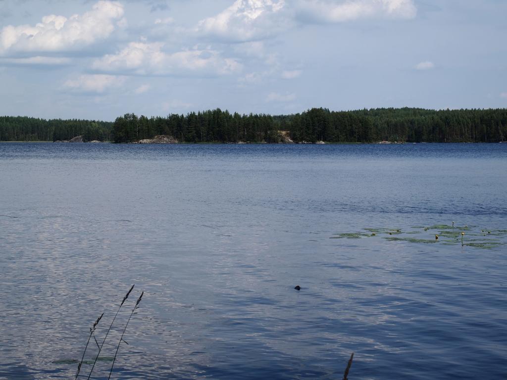 Kuoreksenniemi Villas & Lakehouse Пуумала Екстериор снимка